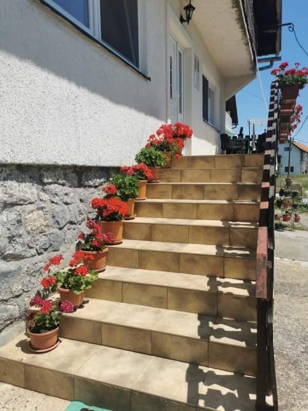 Apartman Pavelić Lovinac  Zewnętrze zdjęcie